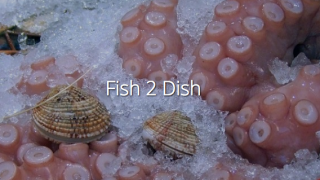 Hoofdafbeelding Fish 2 Dish